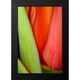 thumbnail image 2 of Peterson, Lee 11x14 Black Modern Framed Museum Art Print Titled - Tulip Detail I, 2 of 5