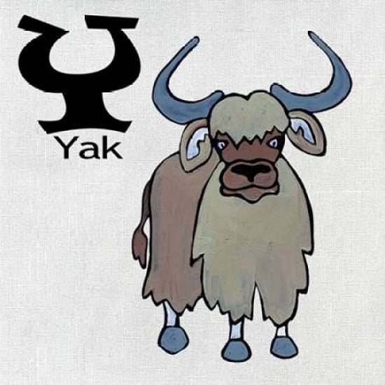 Y - Yak Canvas Art