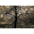thumbnail image 3 of DeLuca, Pat 18x13 Black Modern Framed Museum Art Print Titled - Conversation Of Earth, 3 of 5
