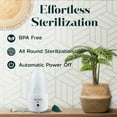 thumbnail image 4 of SHORDY Menstrual Cup and Steam Sterilizer for Beginners Kit, Set of 2 Period Cups (Small & Large), 4 of 6