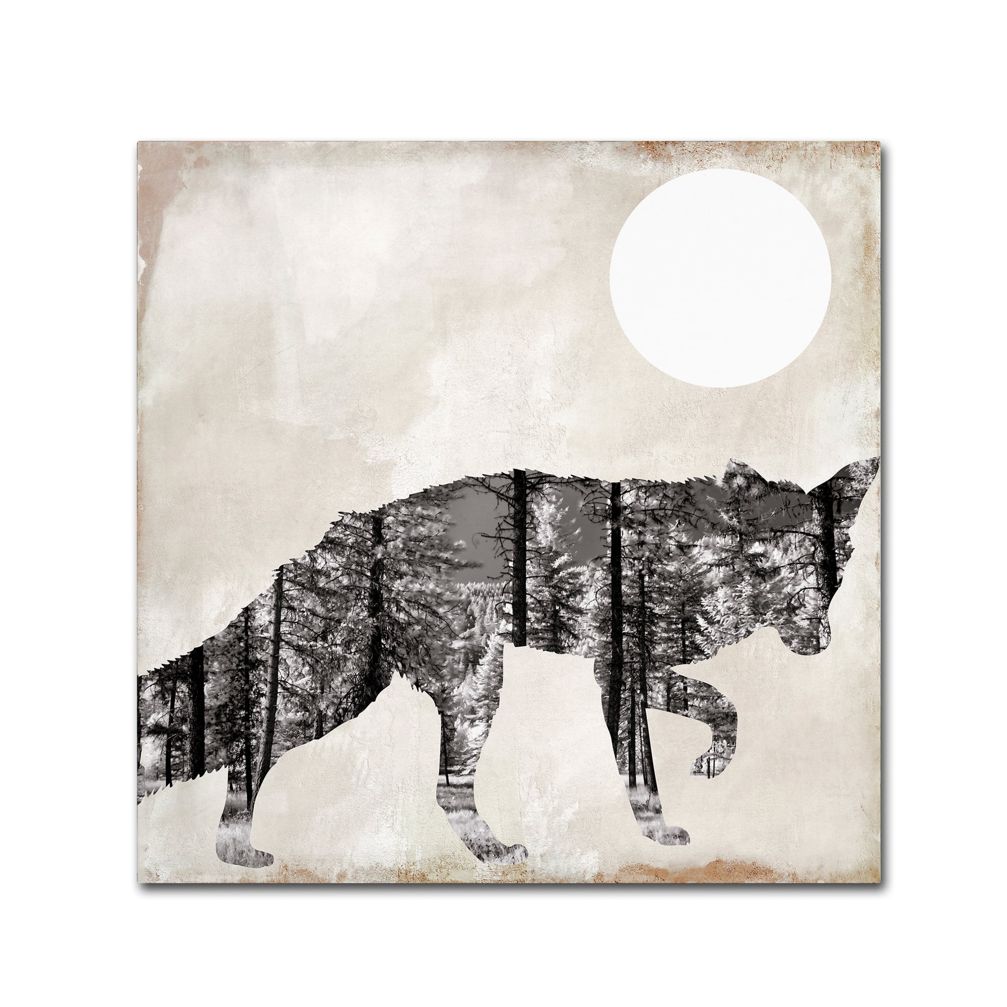 Trademark Fine Art "Going Wild VII" Canvas Art by Color Bakery