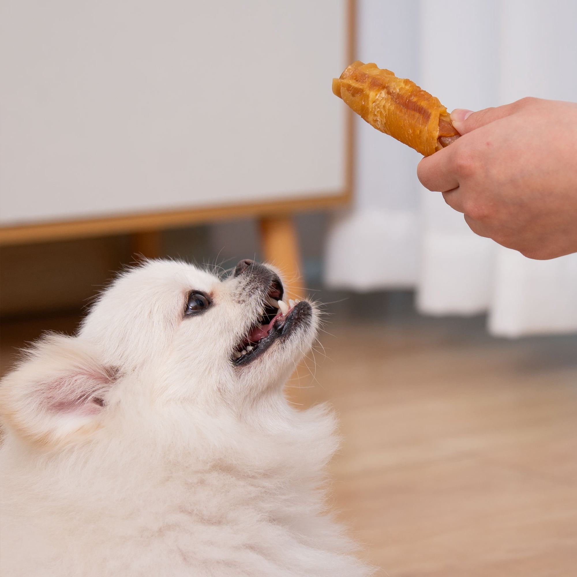 MON2SUN Chicken Wrapped Peanut Butter Rolls Small Dog Treats, 21.16 oz (16 Count)