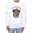 thumbnail image 4 of Harry Potter Boys Gryffindor Cotton Sweatshirt, 4 of 6