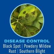 BioAdvanced Shrub Care Protect & Feed, Granules, 4 LB