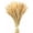 color a, variant on 17.7 Inches Dried Wheat Stalks, 200 Stems Dried Flowers 100% Natural Wheat for Home Kitchen Wedding Party Table Centerpiece Harvest Wreath Boho Farmhouse DIY Decoration
