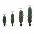 thumbnail image 3 of 150cm Detachable Artificial Cypress Tree, Realistic Tall Faux Plant - Indoor Outdoor Decor, Easy Assembly, Durable Plastic, 2 Pack, 3 of 8