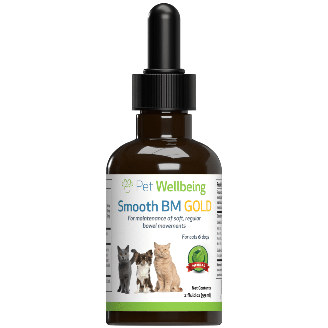 Pet Wellbeing Natural Dog Constipation Support Smooth BM Gold 2oz