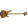 ESP RB-1006BM HN Bass Guitar