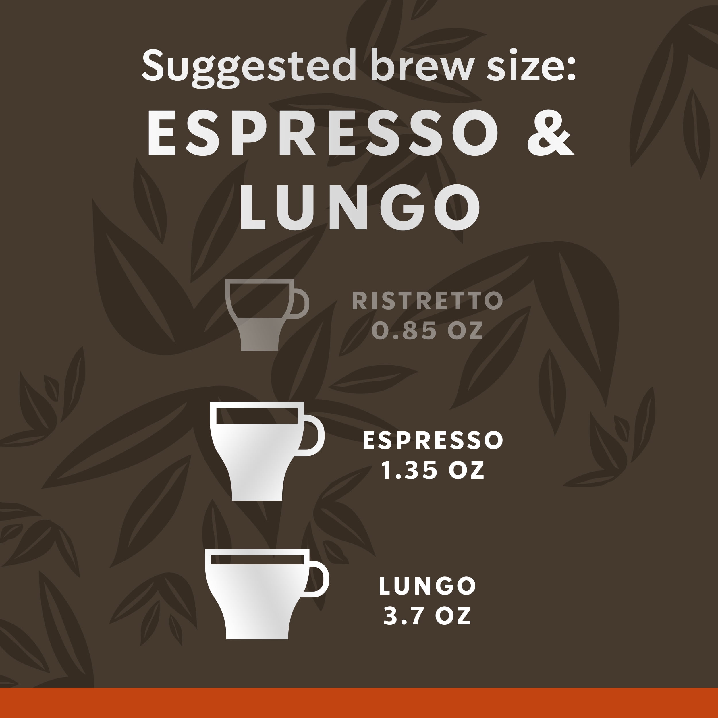 Starbucks Colombia Espresso - 12 Capsules pour Dolce Gusto à 4,19 €