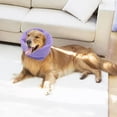 thumbnail image 3 of para Orejas de Perro para Reducir , Capucha para Mascotas, Morado L Yuyangstore Cubierta de orejas de mascotas, 3 of 8