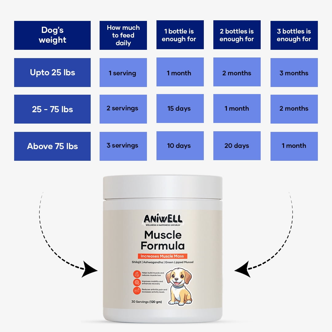 Aniwell Muscle Formula for Dogs: with Shilajit Ashwagandha and Green Lipped Mussel | Glucosamine Chondroitin Hip and Joint Support | Muscle Strength and Mobility