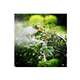 thumbnail image 2 of Juego De Riego De Control Automático De Jardín De 50 M Y 251 Pz, 2 of 3