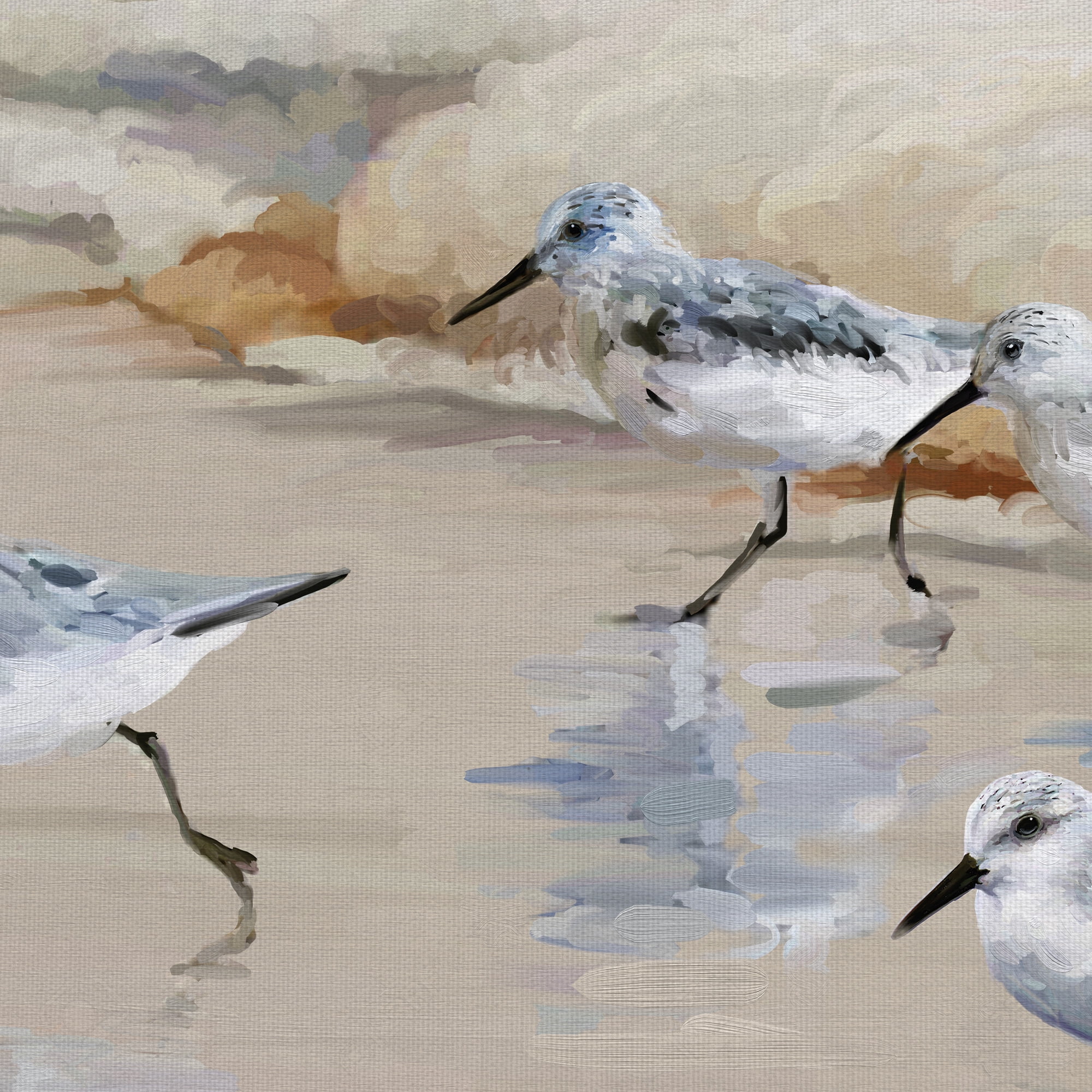 Masterpiece Art Gallery Sandpiper Beach I Amber By Studio Arts Canvas Art Print 24" x 24"