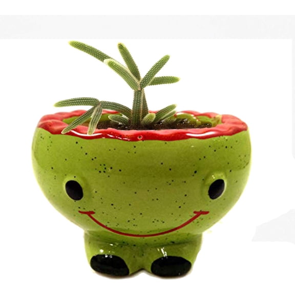 India Meets India Handicraft Ceramic Flower Pots Ceramic Planter Plant Pots Indoor Outdoor Planter, Best Gifting, Made by Awarded Indian Artisans