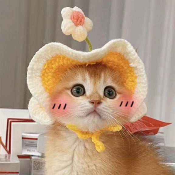 FeiFu Hand-Woven Pet Hat Headwears Cute Knitted Cap for Cats Dogs Fashion Pet Accessory for Daily Wear Holiday Party Decoration