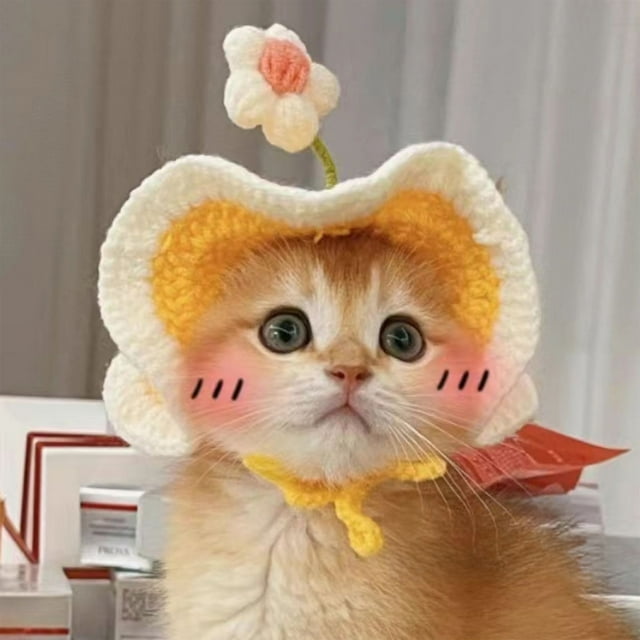 Woven Hats Headbands Wigs For Pets, Party Props Decorations, Warmth Protection, Cute Style, Cats Dogs, Festive Accessories, Comfortable Wear Hzhnb | Nylon,Spandex, Yellow