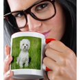 thumbnail image 2 of 3drose, Maltese Puppy on Lawn, 11oz Two-tone Red Mug, 2 of 6