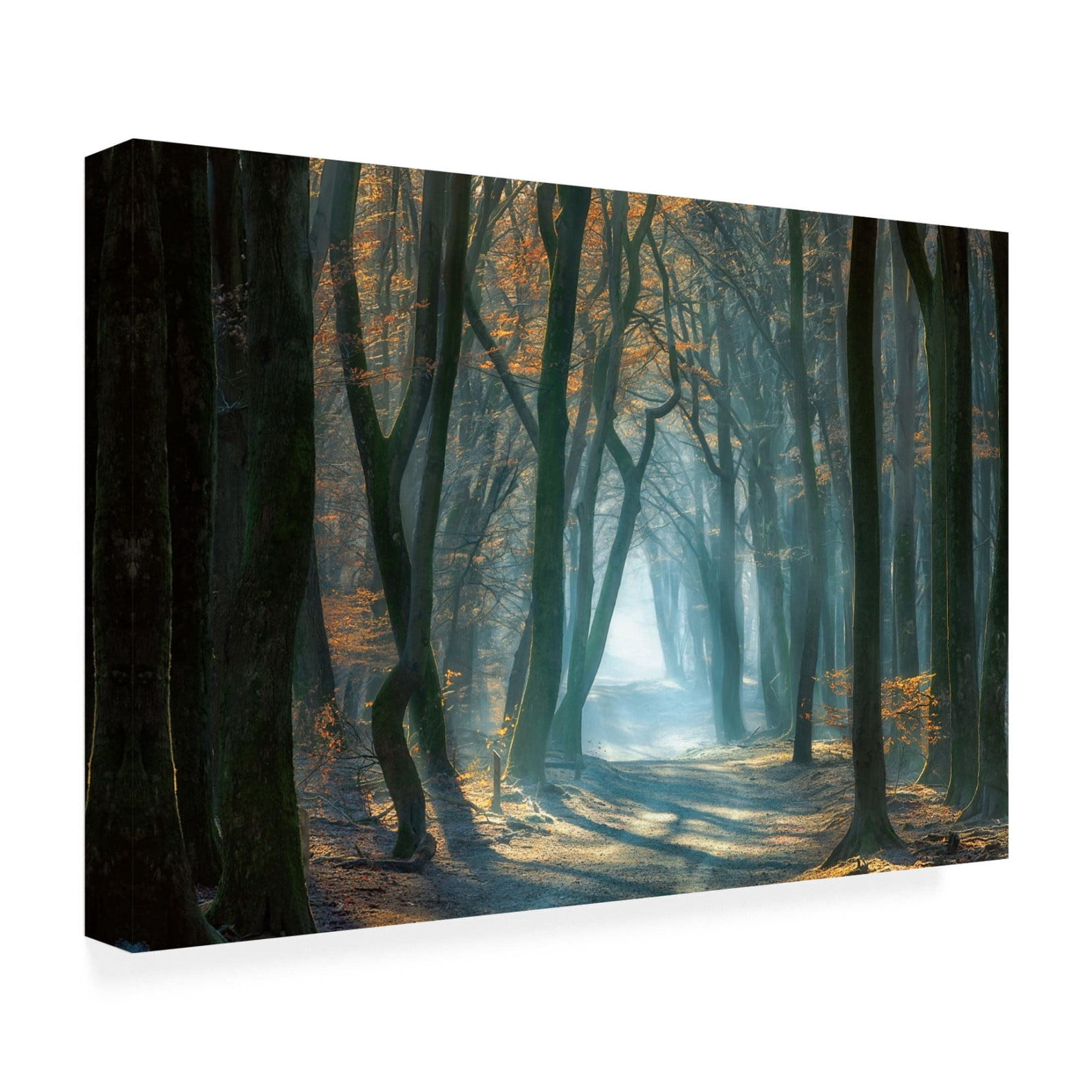 Canvas Wall Art - Ellen Borggreve 'Cold Light' Wall Art for Living Room, Bedroom, or Office D?cor by Trademark Fine Art - 47 x 30 Inches