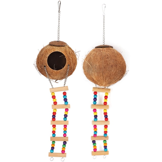 Nido de loro de cáscara de coco Bling Bling Nido de pájaros con escalera