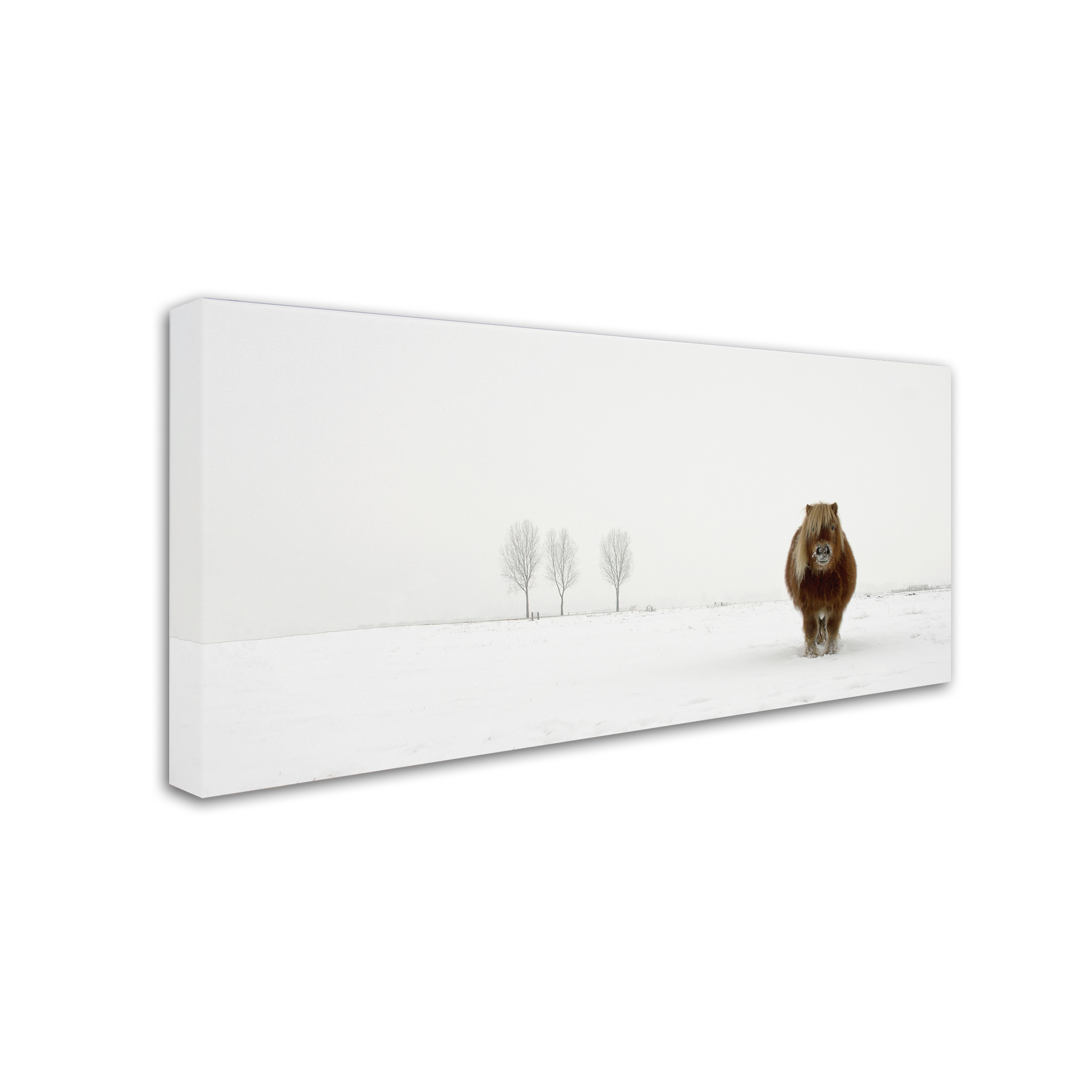 Trademark Fine Art 'The Cold Pony' Canvas Art by Gert van den