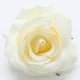 thumbnail image 3 of Decoración de boda con rosas artificiales, manualidades, accesorios coloridos champán, 3 of 9