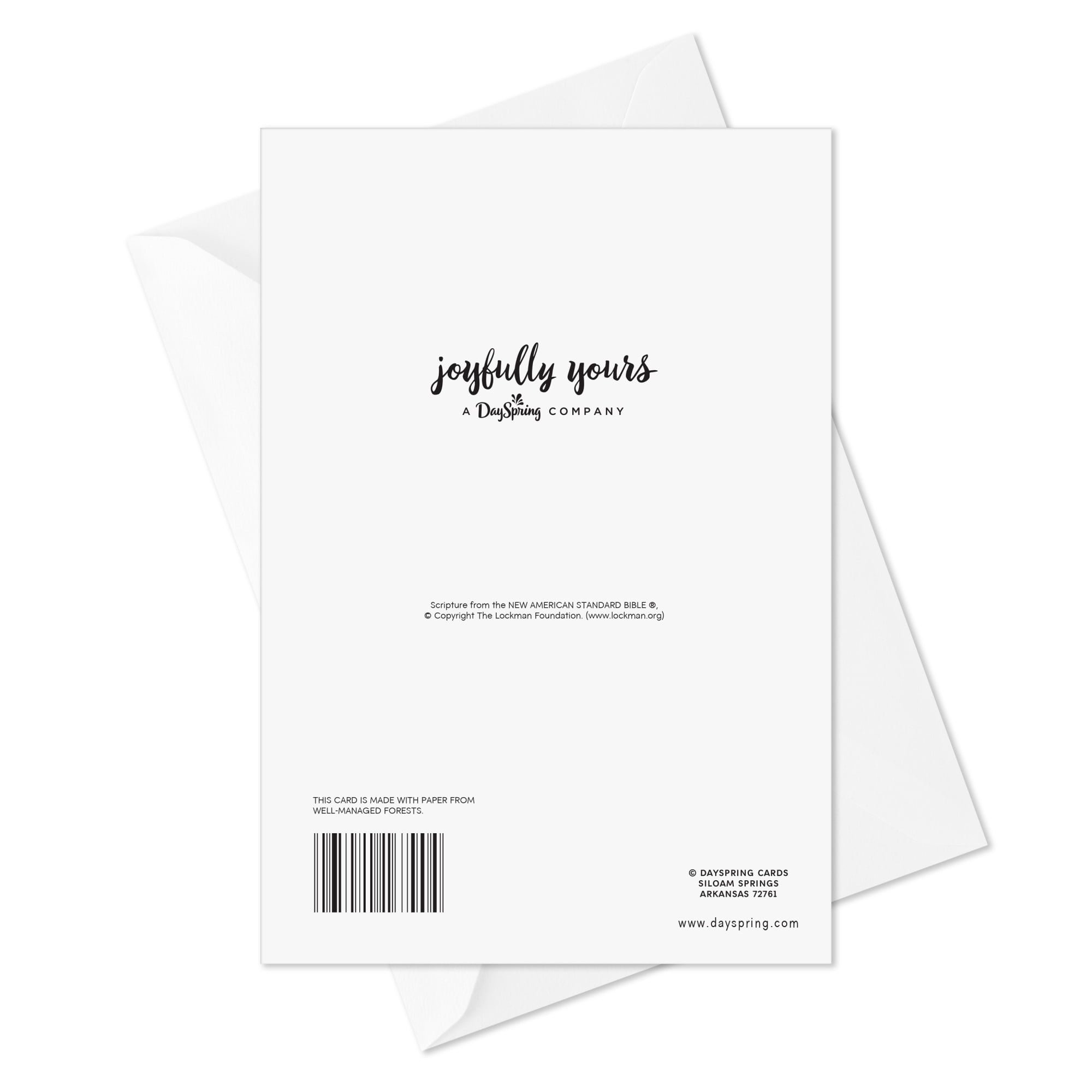 DaySpring Religious Anniversary Card for Couple (God's Gift of Each Other)