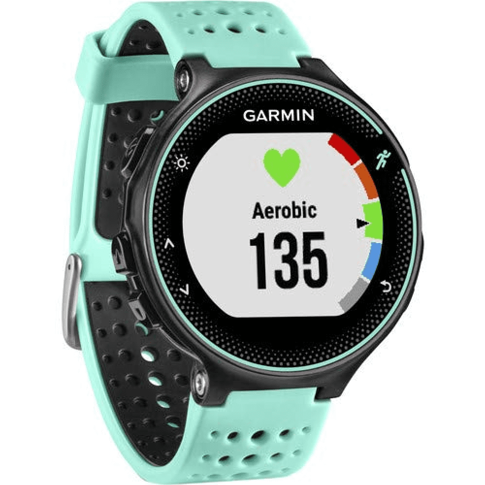 garmin frost blue
