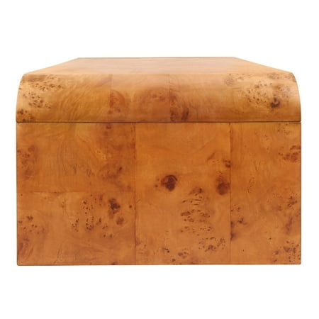 New Pacific Direct Adriel Burl Wood Coffee Table