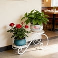 thumbnail image 2 of zhangmingg Two Tier Indoor Stand with Decorative Design for Stylish Home Organization and Display, 2 of 4