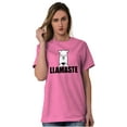thumbnail image 3 of Llamaste Namaste Spiritual Llama Plus Size Crewneck Graphic Tee Shirt Brisco Brands 2X, 3 of 5