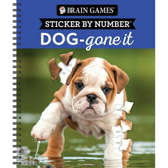 Publications International Brain Games Sticker, 28 Counts