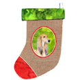 thumbnail image 1 of Carolines Treasures SS2016-CS Saluki Christmas Stocking, 1 of 1