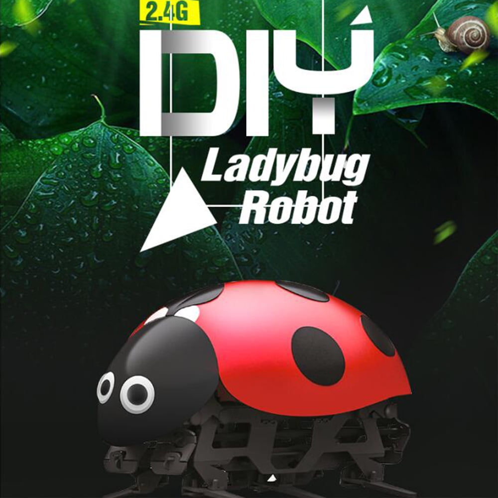 rc ladybug