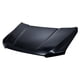 thumbnail image 1 of Cofre Lobo 2016 A 2020 Ford Cofre TONG YANG ., 1 of 4