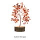 thumbnail image 5 of Moyic Thoughtful Presents Árbol artificial en interiores - Exquisito Crystal Bonsai Bonsai Crystal Tree Southern Red Agate Type3 NO3, 5 of 6