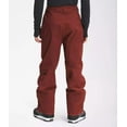 thumbnail image 3 of The North Face Men's Freedom Insulated Pants, 3 of 12
