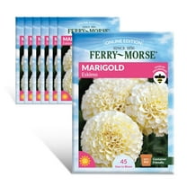 Ferry-Morse Online Edition Marigold Eskimo Seed Multipack - 7 Pack