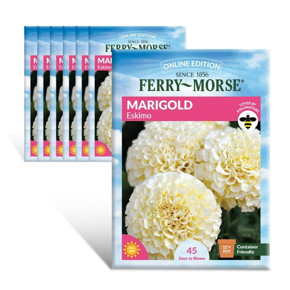 Ferry-Morse Online Edition Marigold Eskimo Seed Multipack - 7 Pack
