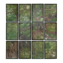 A&B Home Tree Branch Framed Collage Wall Art - Set of 12