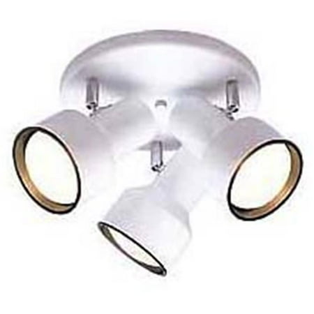 Three Light Multi Directional Ceiling Fixture