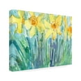 thumbnail image 2 of Samuel Dixon 'Daffodil Blooms I' Canvas Art, 2 of 4