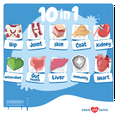 thumbnail image 3 of Coco and Luna 10 in 1 Multivitamin for Dogs - Joint, Hip, Heart, Skin Support & More - 90 Soft Chews, 3 of 6