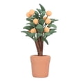 thumbnail image 1 of Planta Bonsái para Casa de Muñecas BuyWeek Escala 1:12 Naranjo, 1 of 14