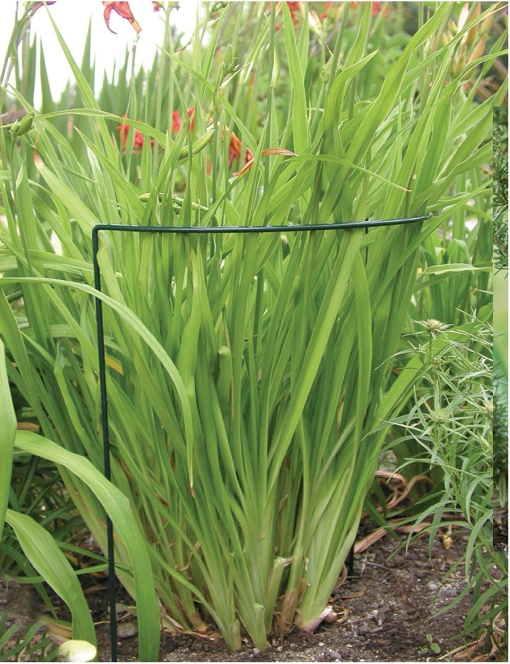 Mr. Garden Semicircular Combination Plant Climbing Support Trellis