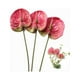 thumbnail image 4 of 3 Flores de Anturio Artificiales de 22.8 Pulgadas para DecoracióN del Hogar, Ramo y Hojas y DecoracióN de Boda Nupcial (Rosa), 4 of 5