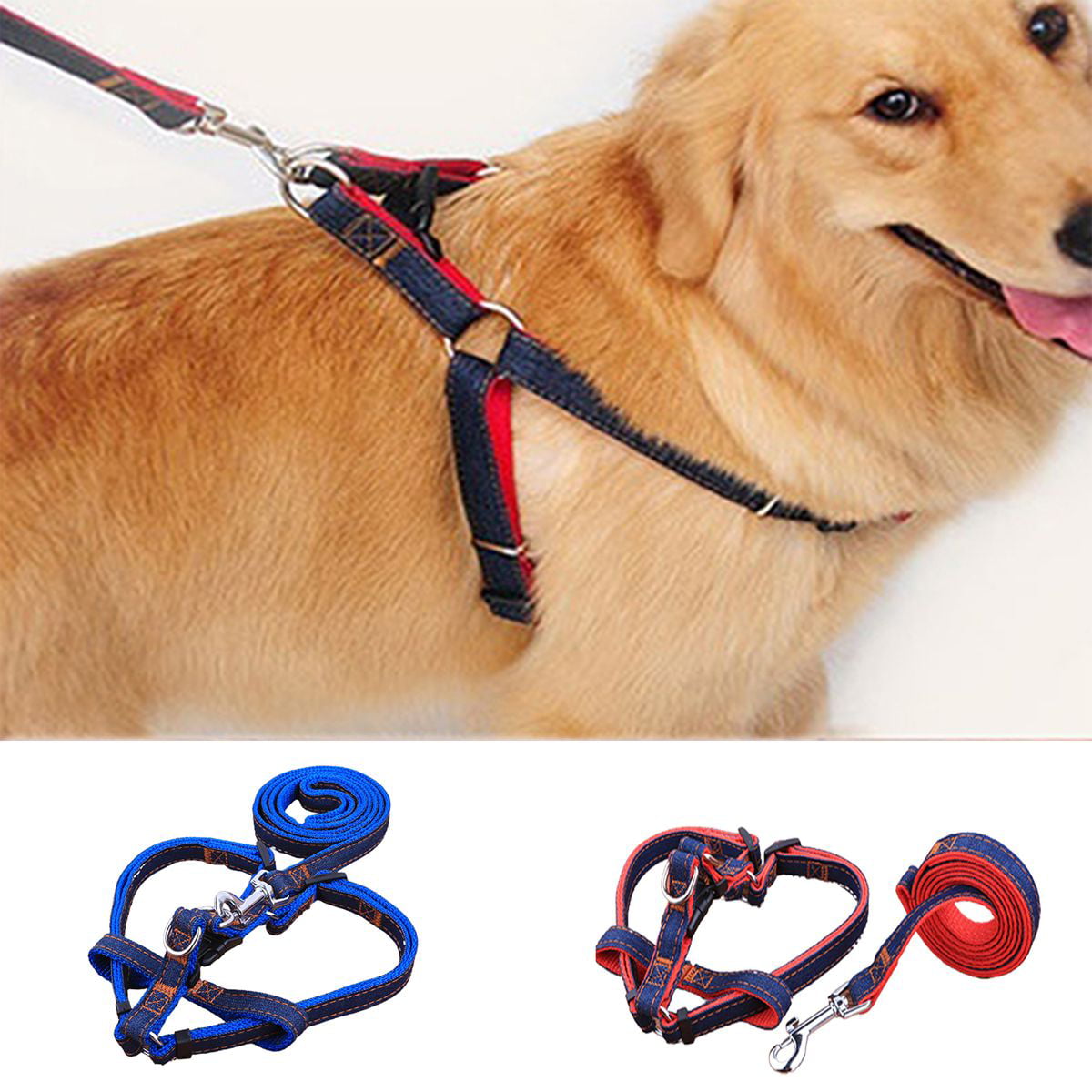 Useful Dog Leash Harness Heavy Duty Denim Collar Set For Small Medium Large Dog 