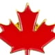 thumbnail image 2 of FELTECHELECTR 12 pines de solapa de metal esmaltado con diseño de hoja de arce canadiense para el Día de Canadá, para ropa, bolsos, sombreros, etc., 2 of 6