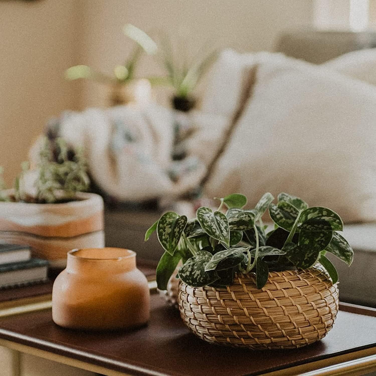 LQQBOX Set of 3 Small Wicker Basket with Lid, Round Woven Seagrass Baskets, Little Handmade Rattan Storage Basket Box for Shelf, Home, Bathroom Decor