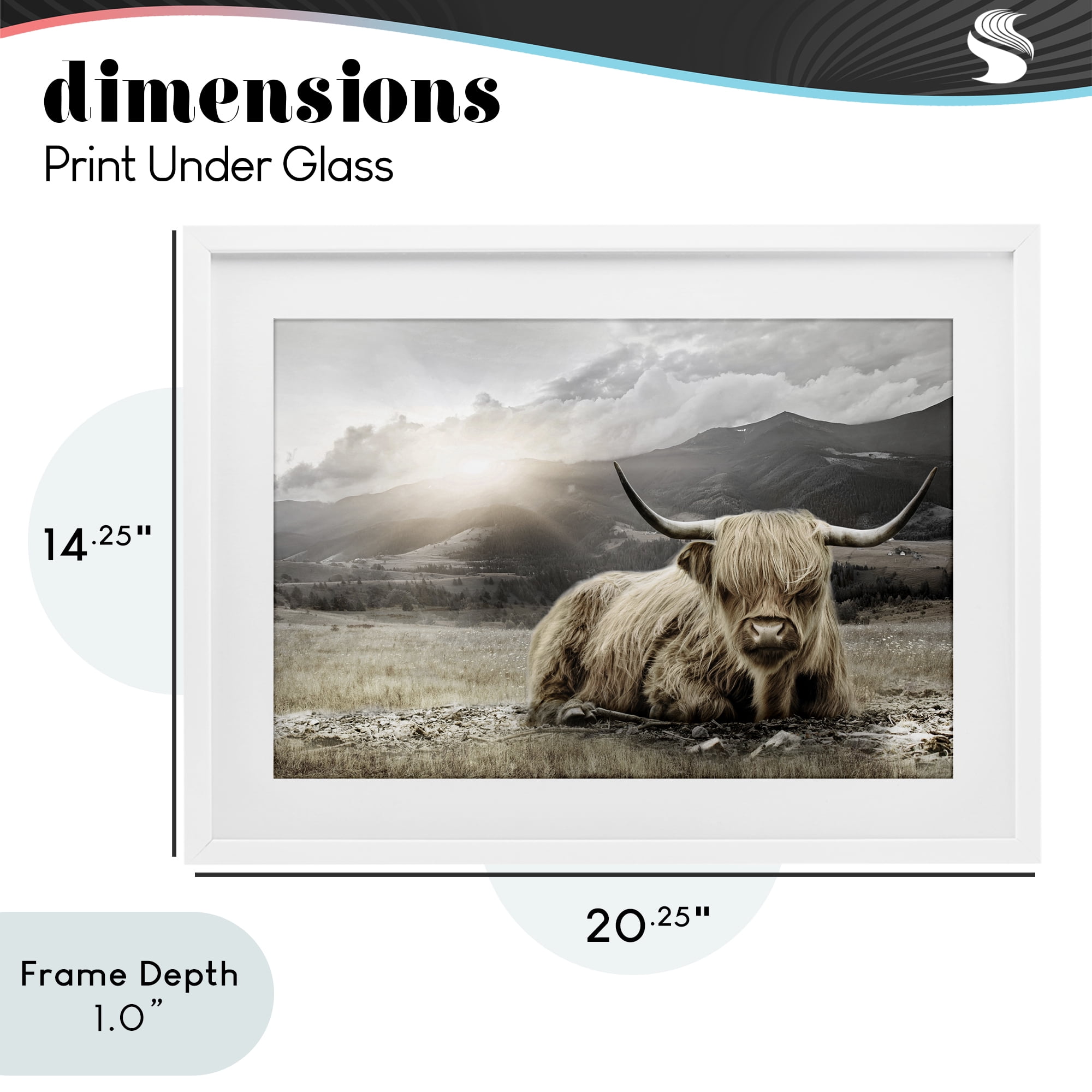 Stupell Industries Cattle Resting in Morning Sun White Framed Print Under Glass, design by CAD Designs