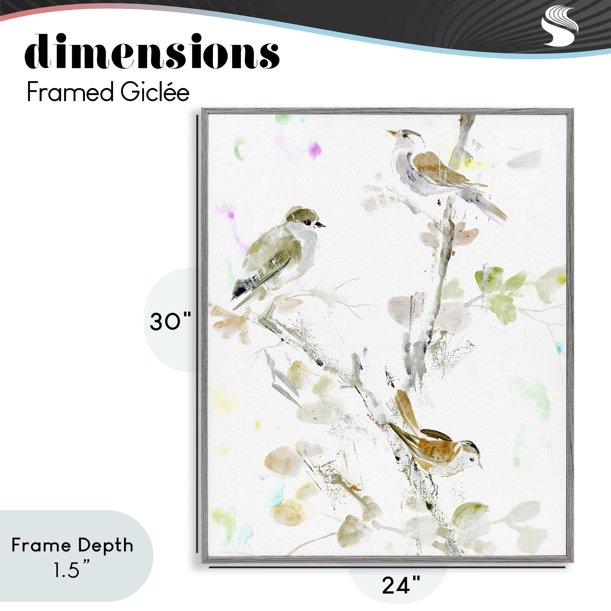Stupell Industries Delicate Feathers Trio Gray Framed Giclee Art, design by Lorenzo Collective
